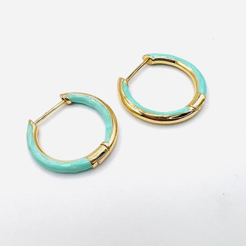 Enamel Earring