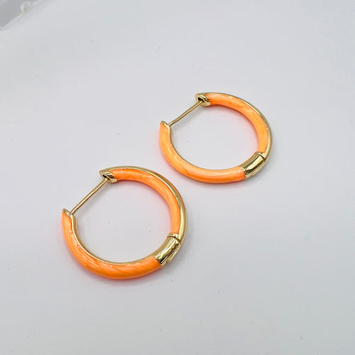 Enamel Earring