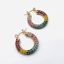 Elegant colors Earring