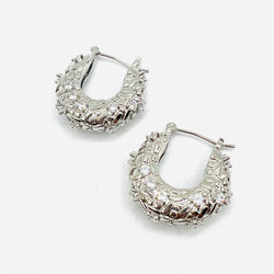 Cristal argolla Earring