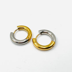 Gold and Silver Earrings